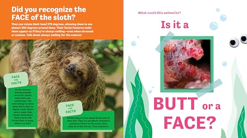 Butt or Face? Volume 4: Ador-A-Butts!