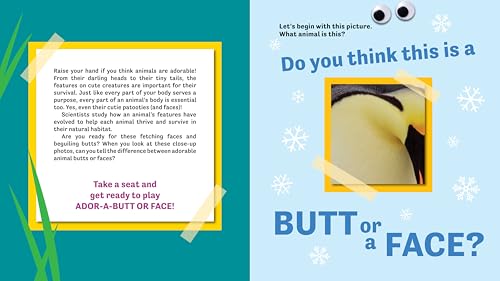 Butt or Face? Volume 4: Ador-A-Butts!