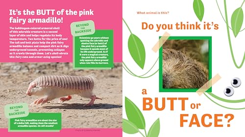 Butt or Face? Volume 4: Ador-A-Butts!