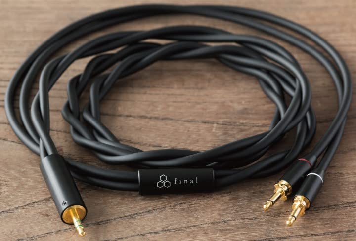Final Audio Design D8000 Over-Ear Planar Magnetic Headphones
