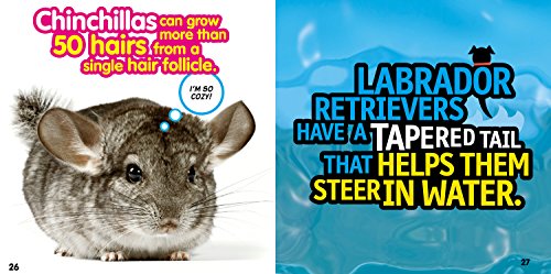 Weird But True! Animals: 300 Outrageous Facts About Wacky Wildlife
