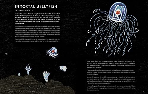 How Old Is a Whale?: Animal Life Spans from the Mayfly to the Immortal Jellyfish