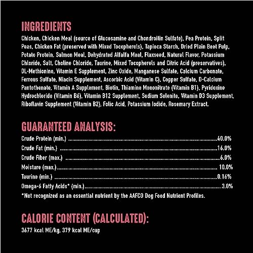 Crave Indoor Grain Free Dry Cat Food with Protein From Chicken and Salmon 10lb.