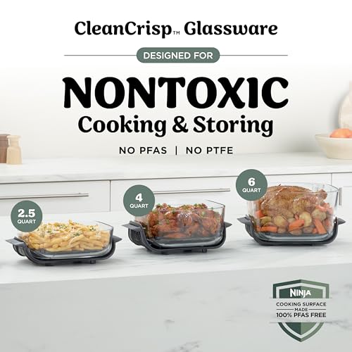Ninja Crispi Pro 6-in-1 Glass Air Fryer | 450°F, Nontoxic, 6qt & 2.5qt Containers & Lids | Microwave, Freezer, Dishwasher Safe | Max Crisp, Air Fry, Bake, Roast, Recrisp, Dehydrate | Ash Grey, AS101DG