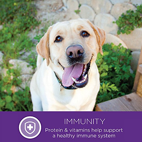 Wellness Complete Health Dry Dog Food, Wholesome Grains, Natural, Healthy Weight Chicken & Peas Recipe, (5-Pound Bag)