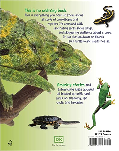 Everything You Need to Know About Frogs and Other Slippery Creatures