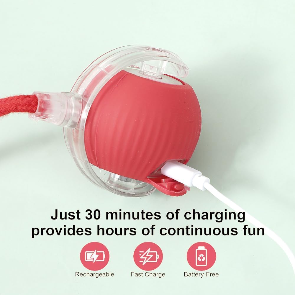 Liedrg Interactive Cat Toy Ball for Indoor Cats, Automatic Moving Cat Ball with String Tail, 3 Interaction Modes Smart Rolling Pet Toy, Type-C Rechargeable Silent Kitten Toy for Boredom & Exercise