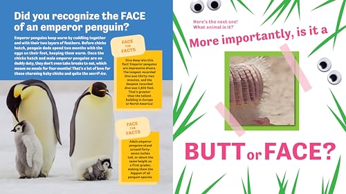 Butt or Face? Volume 4: Ador-A-Butts!