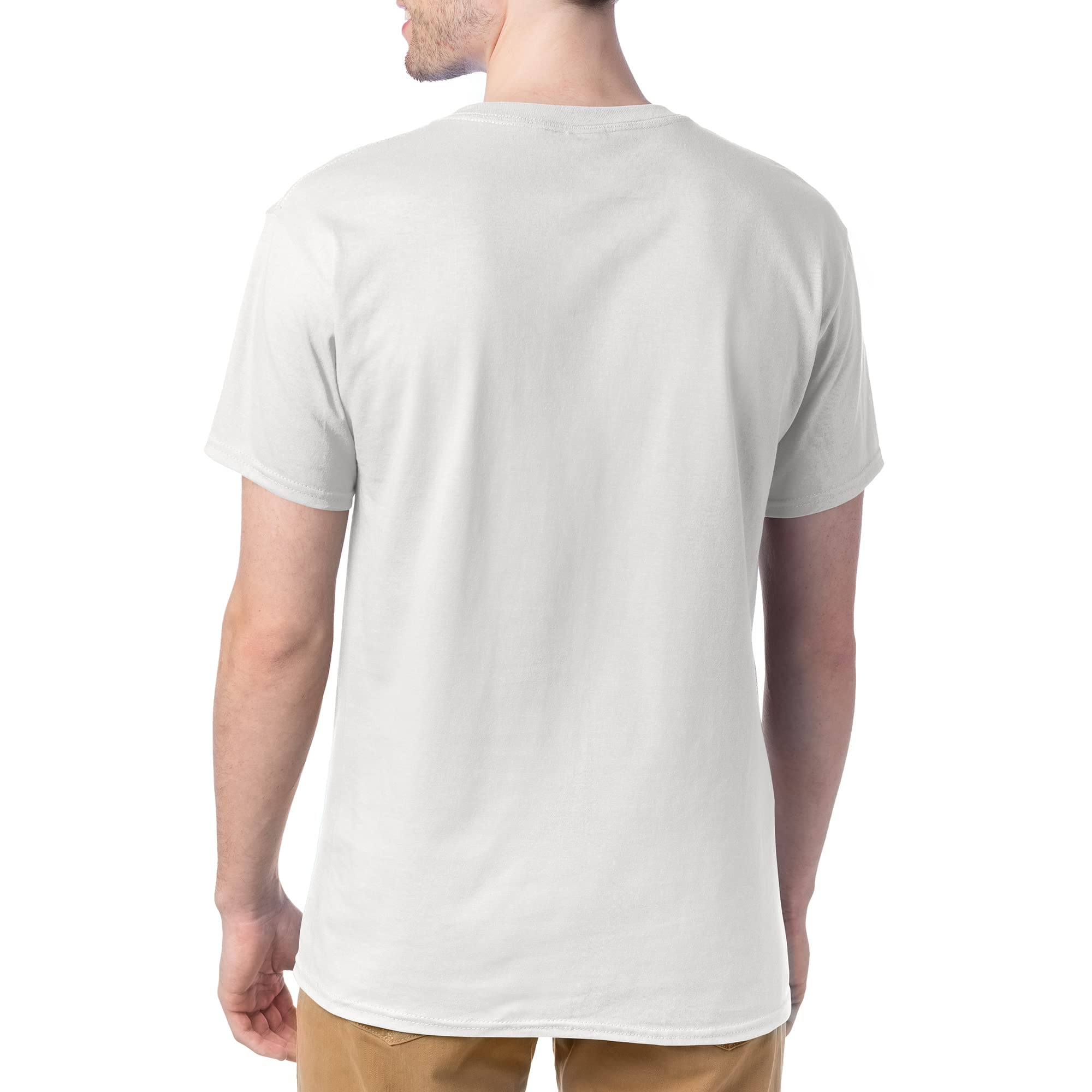 Hanes mens Essentials Short Sleeve T-shirt Value Pack (4-pack) athletic t shirts, White, X-Large US