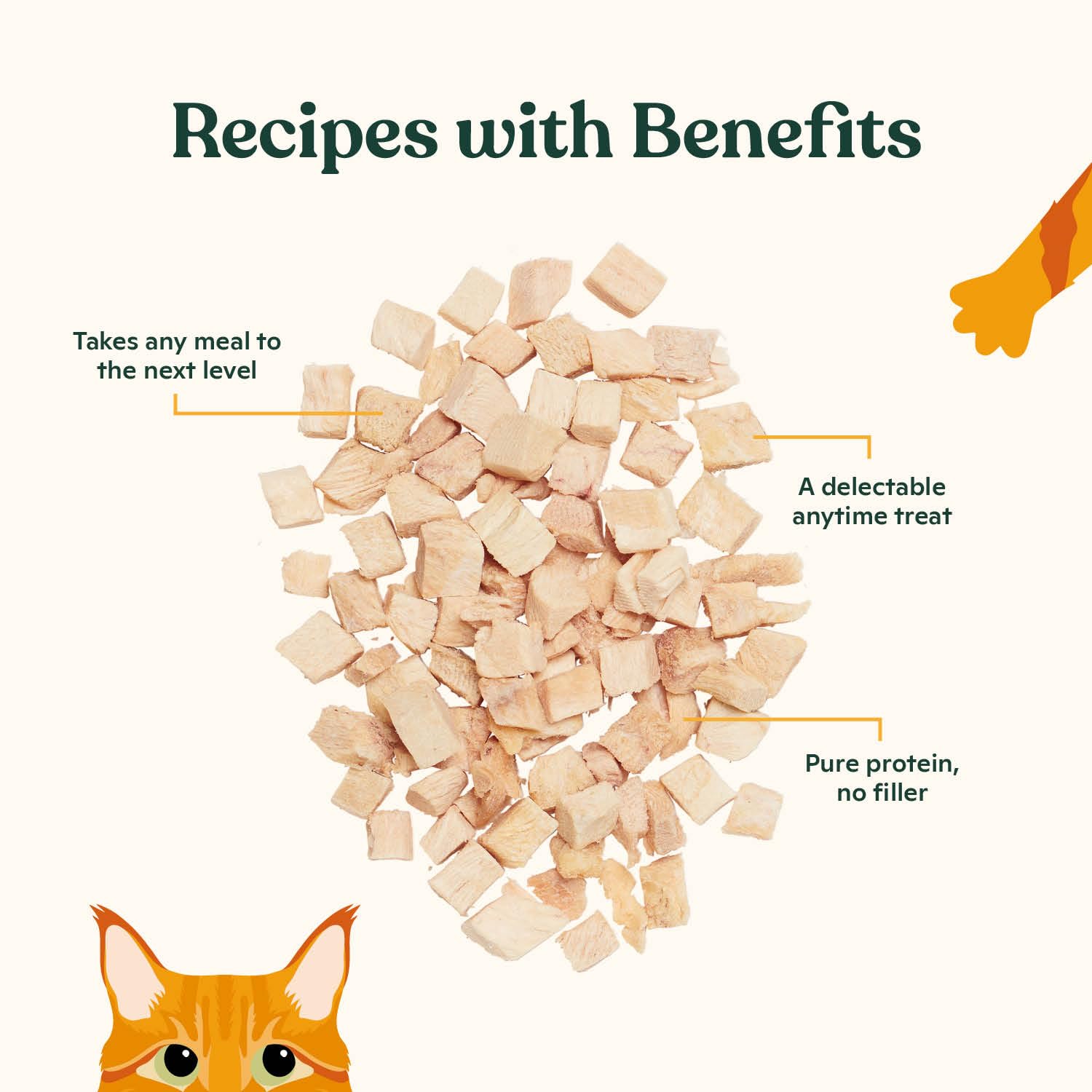 Made by Nacho Freeze-Dried Chicken Breast Meal Topper, Mixer or Treat 3.5oz | High Protein, Pure Chicken Ingredients | Premium Cage-Free Chicken Breast | Crunchy Texture