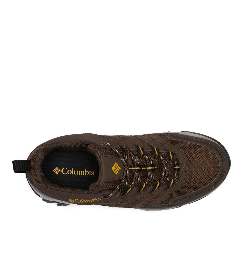 Columbia Men's Strata Trail Low Waterproof, Cordovan/Golden Yellow, 9.5 Wide