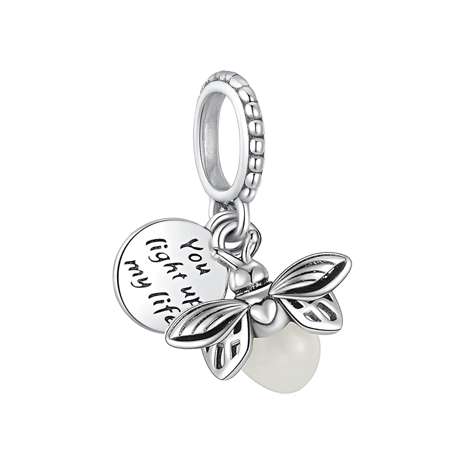 WANIUS 10 Pack Silver Charms for Pandora Bracelets and Necklaces Charms for Women CZ Pendant Jewelry Charm Set (Style 02)