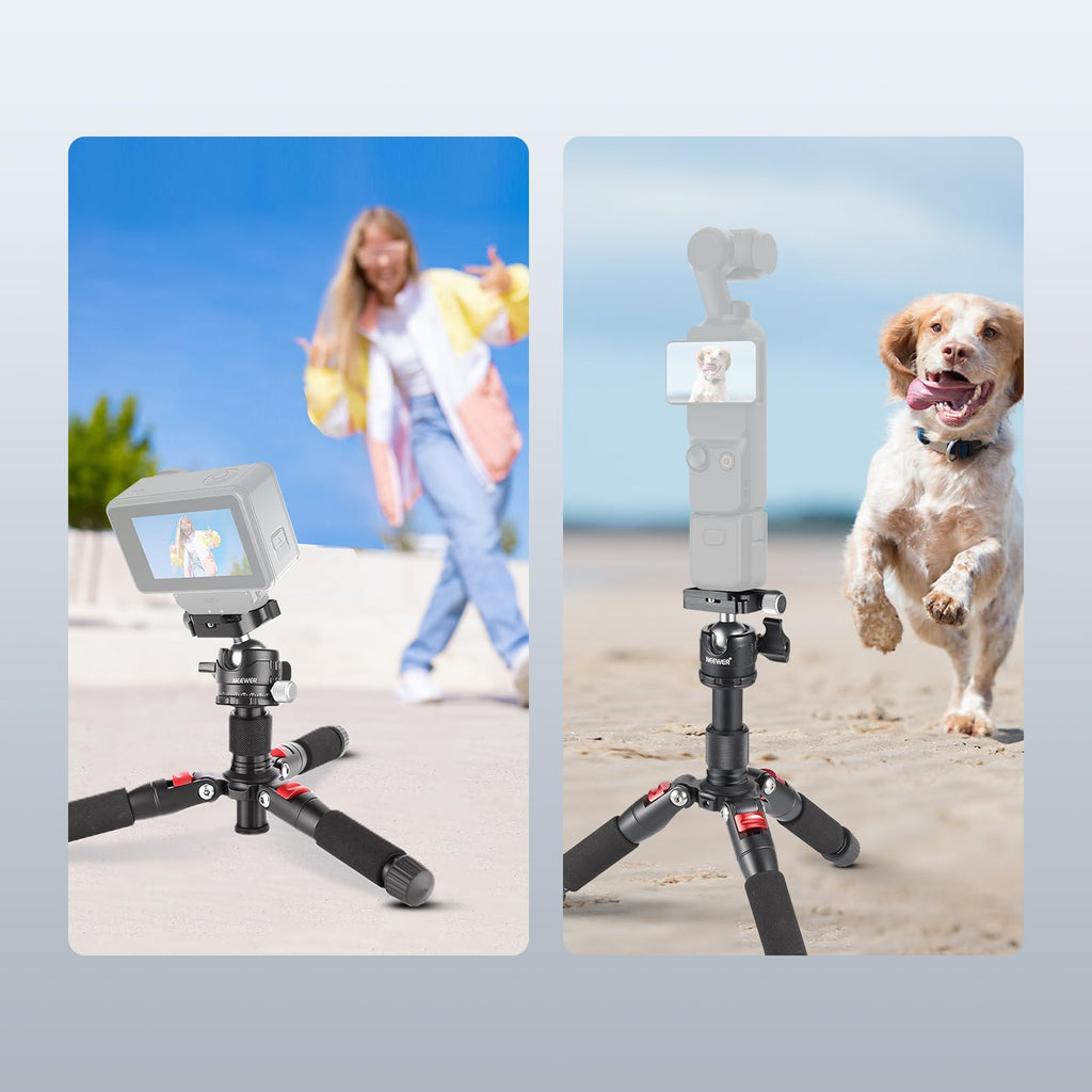 NEEWER Portable Travel Mini Tabletop Tripod, Aluminum Alloy 20''/ 50cm Desktop Desk Tripod with 360 Degree Ball Head, 1/4" Quick Shoe Plate for DSLR Camera Video Camcorder, Max Load 11 lb/5 kg