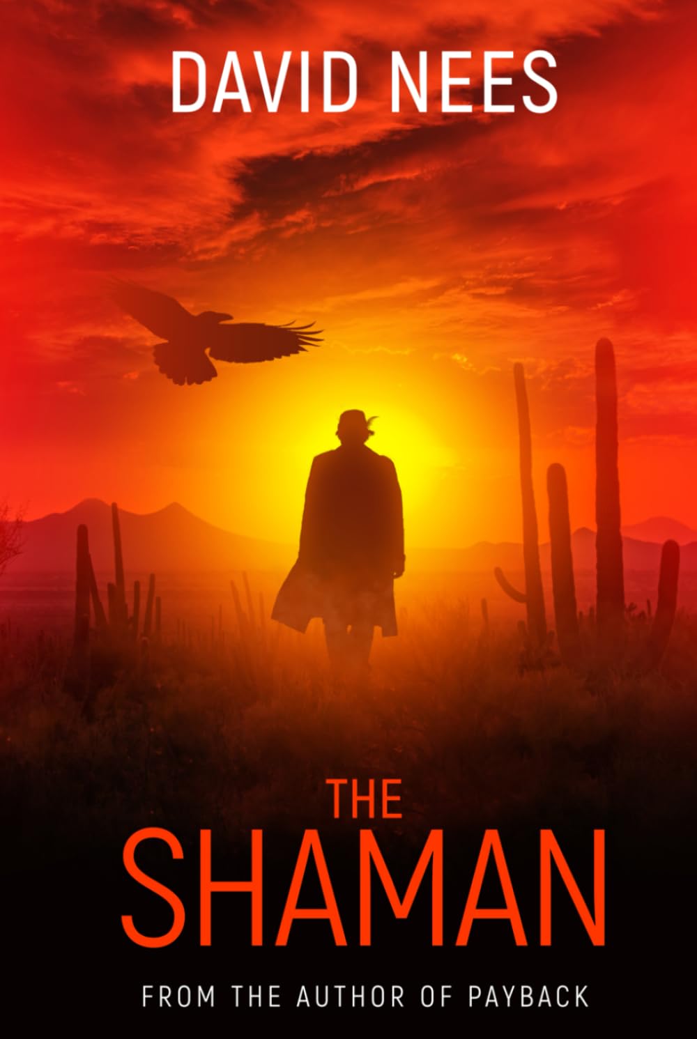 The Shaman: Book Two in the Dan Stone Series (Assassin Series)