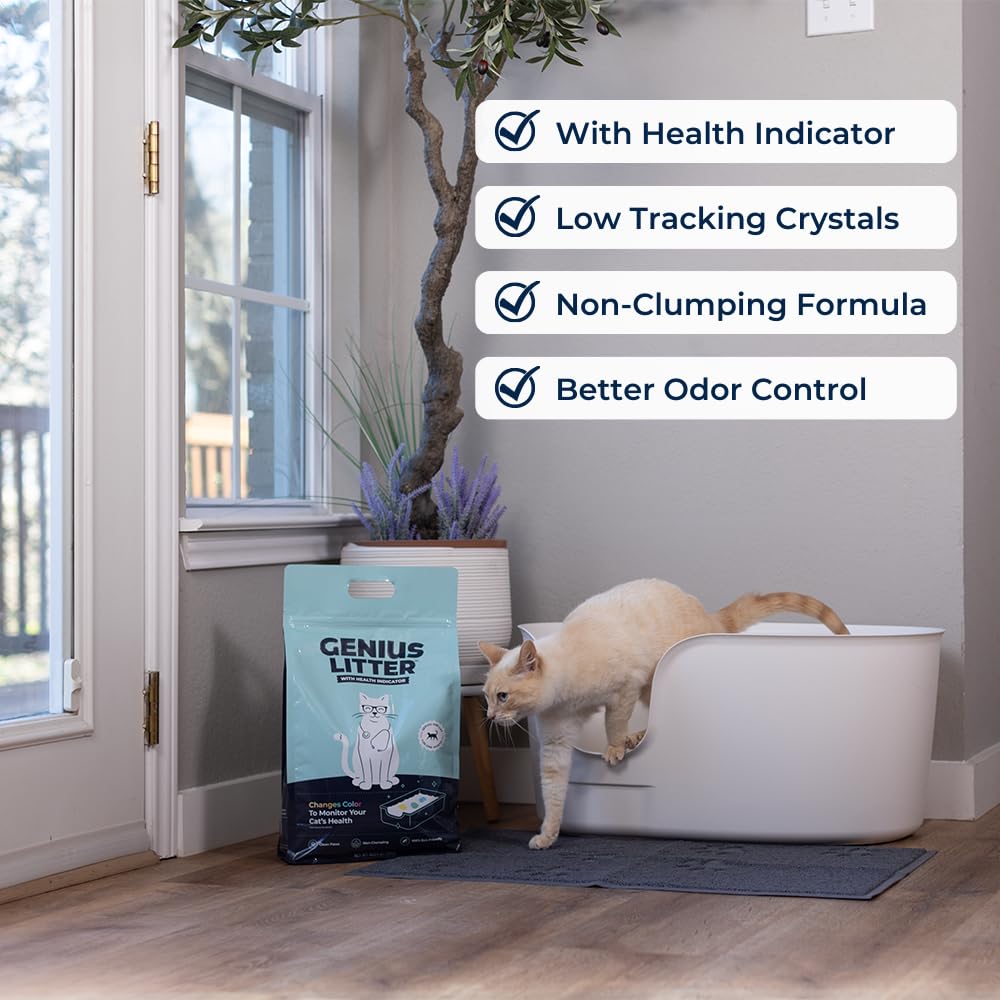 Genius Litter Health Monitoring Cat Litter, Featured on Shark Tank, Lightweight Crystal Silica Gel, Non Clumping, Dust Free, Low Tracking, Odor Control for Indoor Cats and Kittens, 6 lb Bag