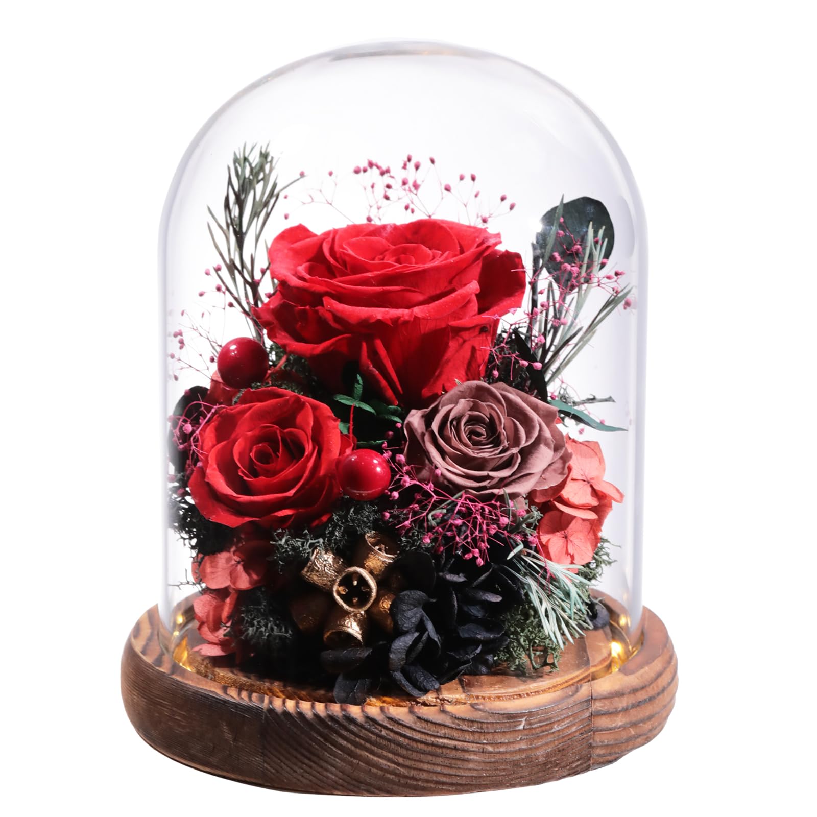 Lovenfold Flowers for Delivery Preserved Rose Gifts for Her,Long-Lasting Forever Flowers in Glass Dome,Birthday Gifts for Women Mom Wife Friend(Red Rose)