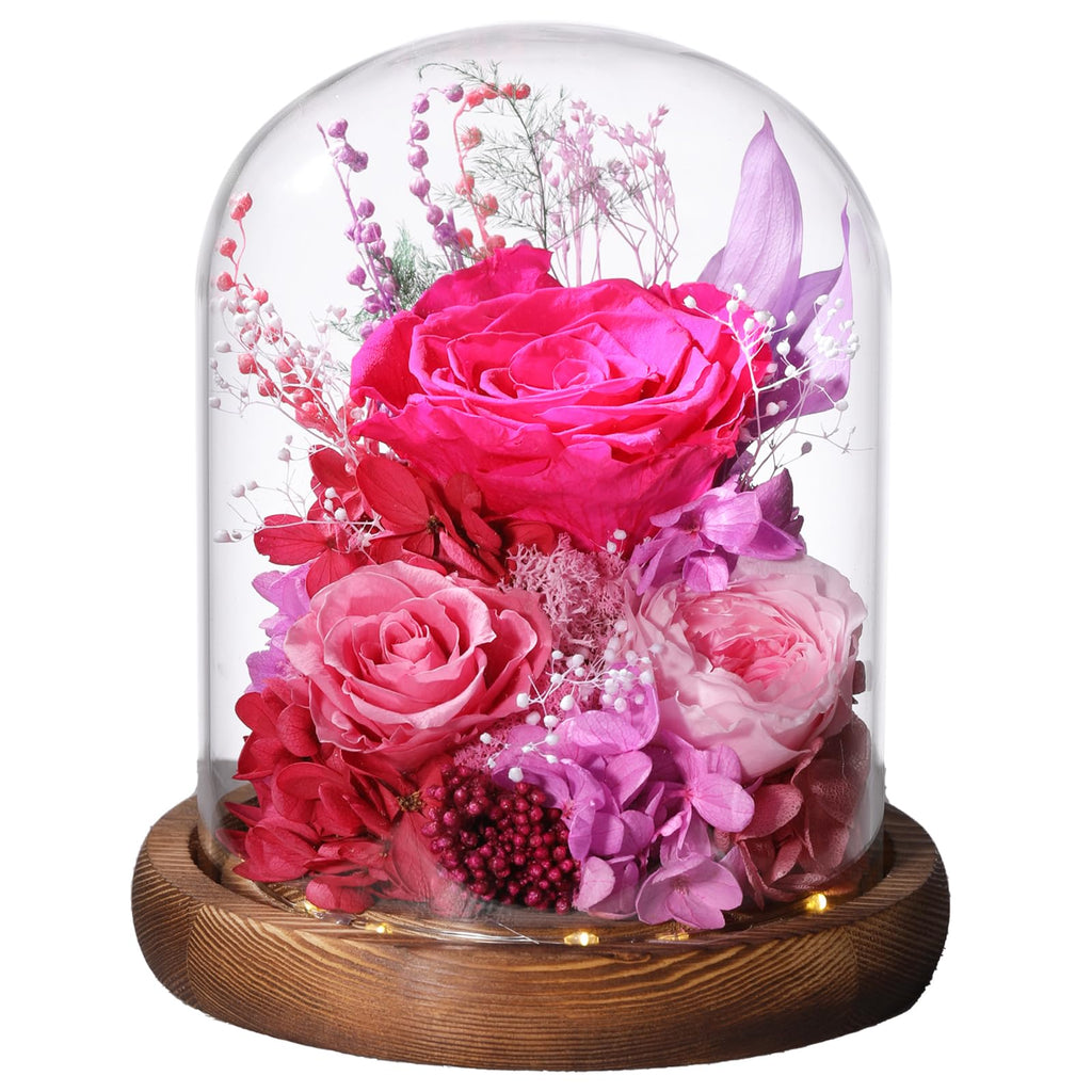 LOVENFOLD Flowers for Delivery Preserved Flowers with LED Light in a Glass Dome,Long Lasting Forever Roses Birthday Gifts for Women Daughter Mom Wife Friend（Reddish Rose）
