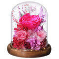 LOVENFOLD Flowers for Delivery Preserved Flowers with LED Light in a Glass Dome,Long Lasting Forever Roses Birthday Gifts for Women Daughter Mom Wife Friend（Reddish Rose）
