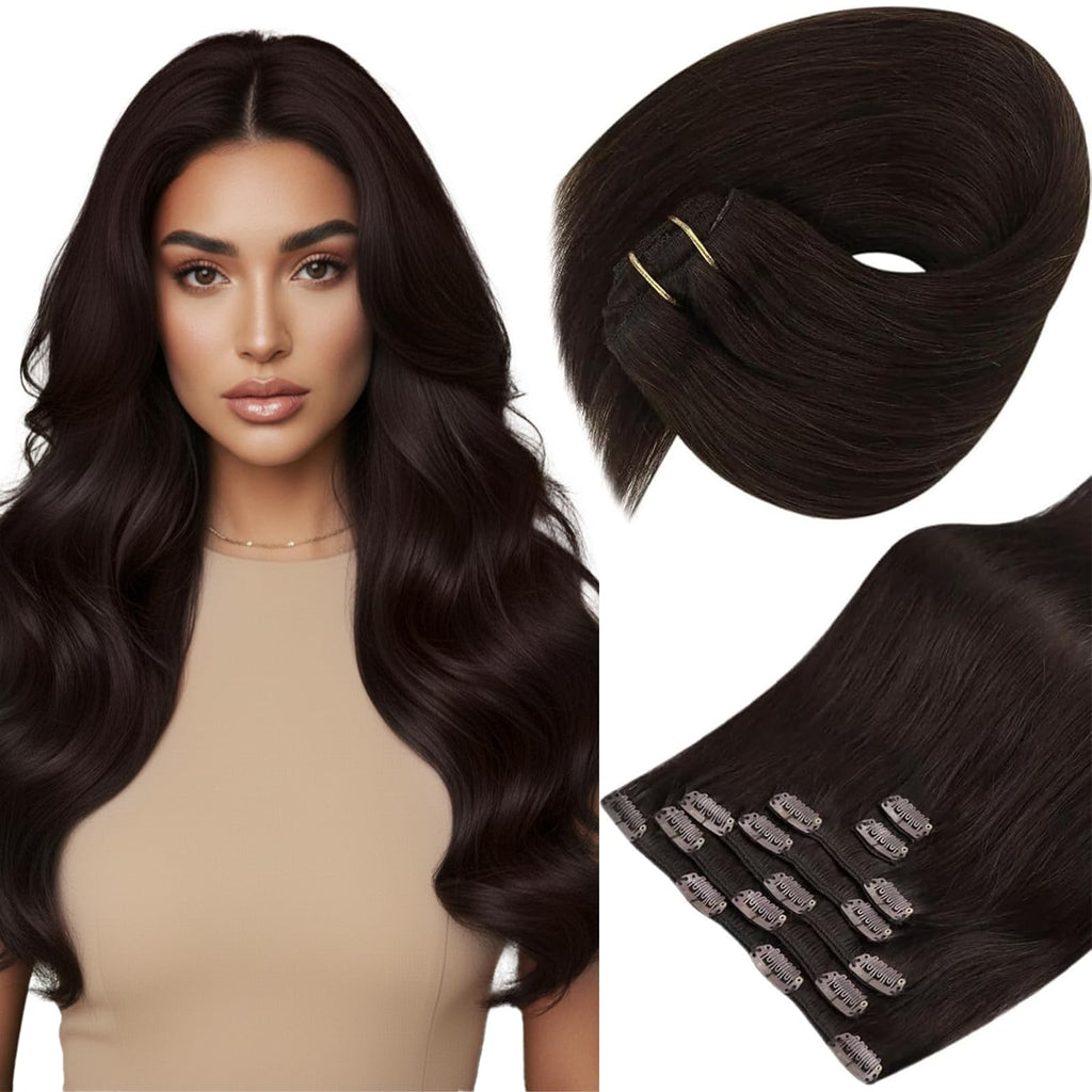 Sunny Hair Clip in Hair Extensions Real Human Hair Double Weft Remy Hair Clip in Extensions Human Hair for Women Full Head Dark Brown 24 inch