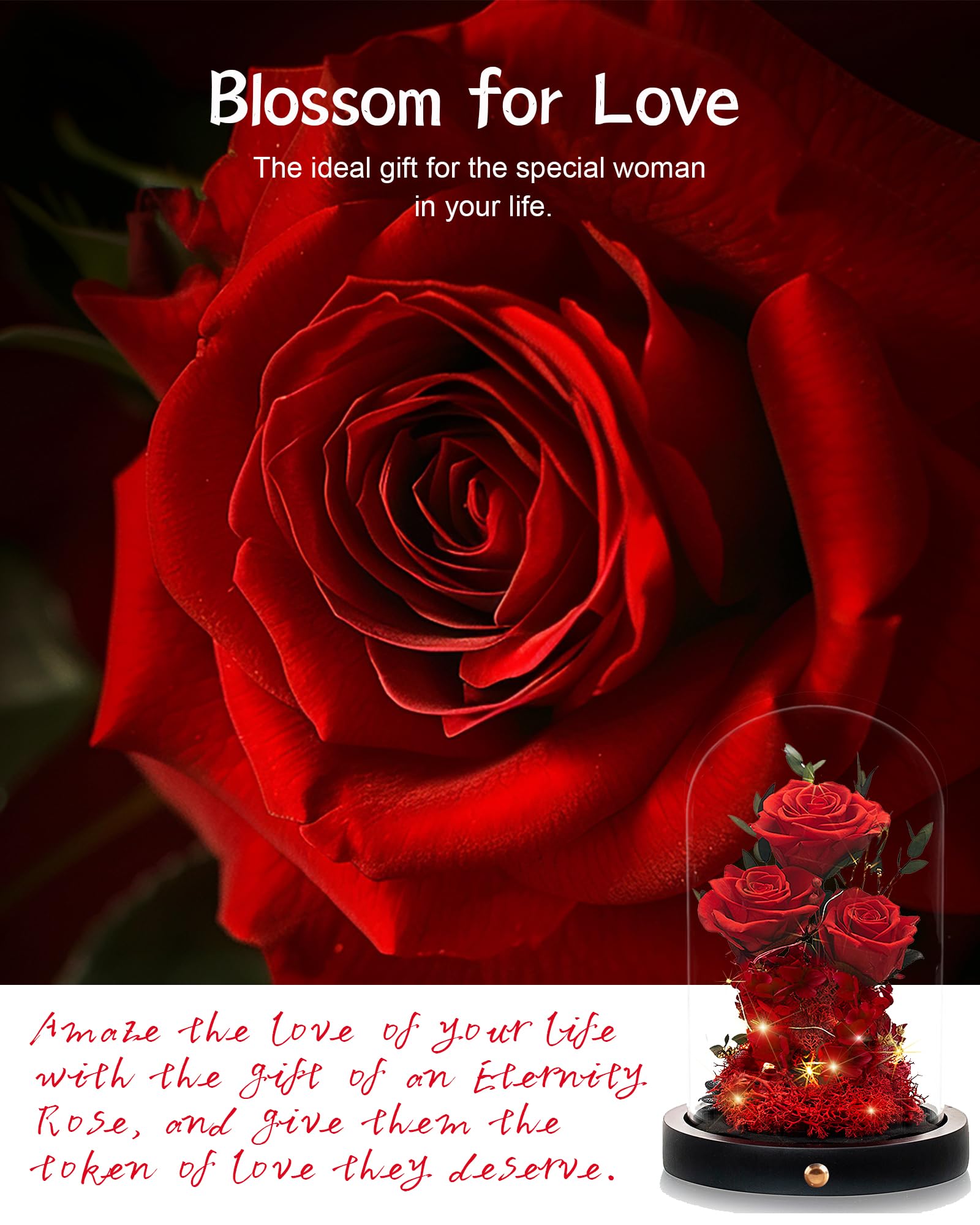 Agrul Valentines Day Flowers Roses Gifts for Her,Forever Real Preserved Roses in Glass Dome,Valentines Day Anniversary Birthday Gifts for Wife Girlfriend Women Mom Best Friend Her/Red Rose