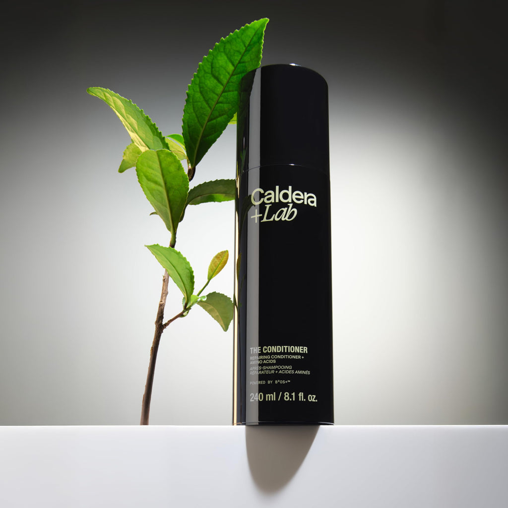Caldera + Lab The Conditioner | For Men, Repairing + Amino Acids, 8.1 Fl Oz