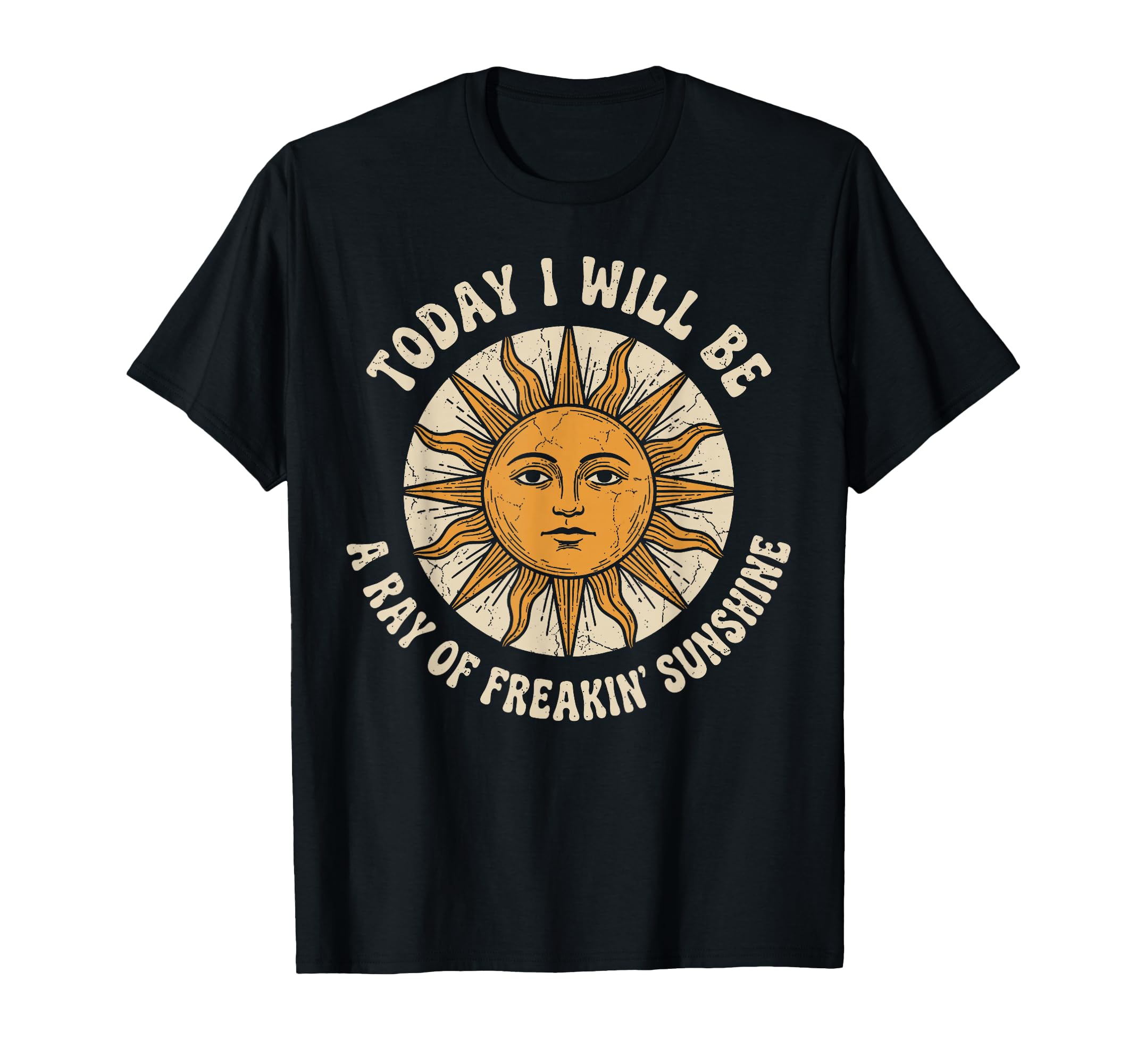 Today I Will Be A Ray of Freakin' Sunshine Sarcastic Humor T-Shirt