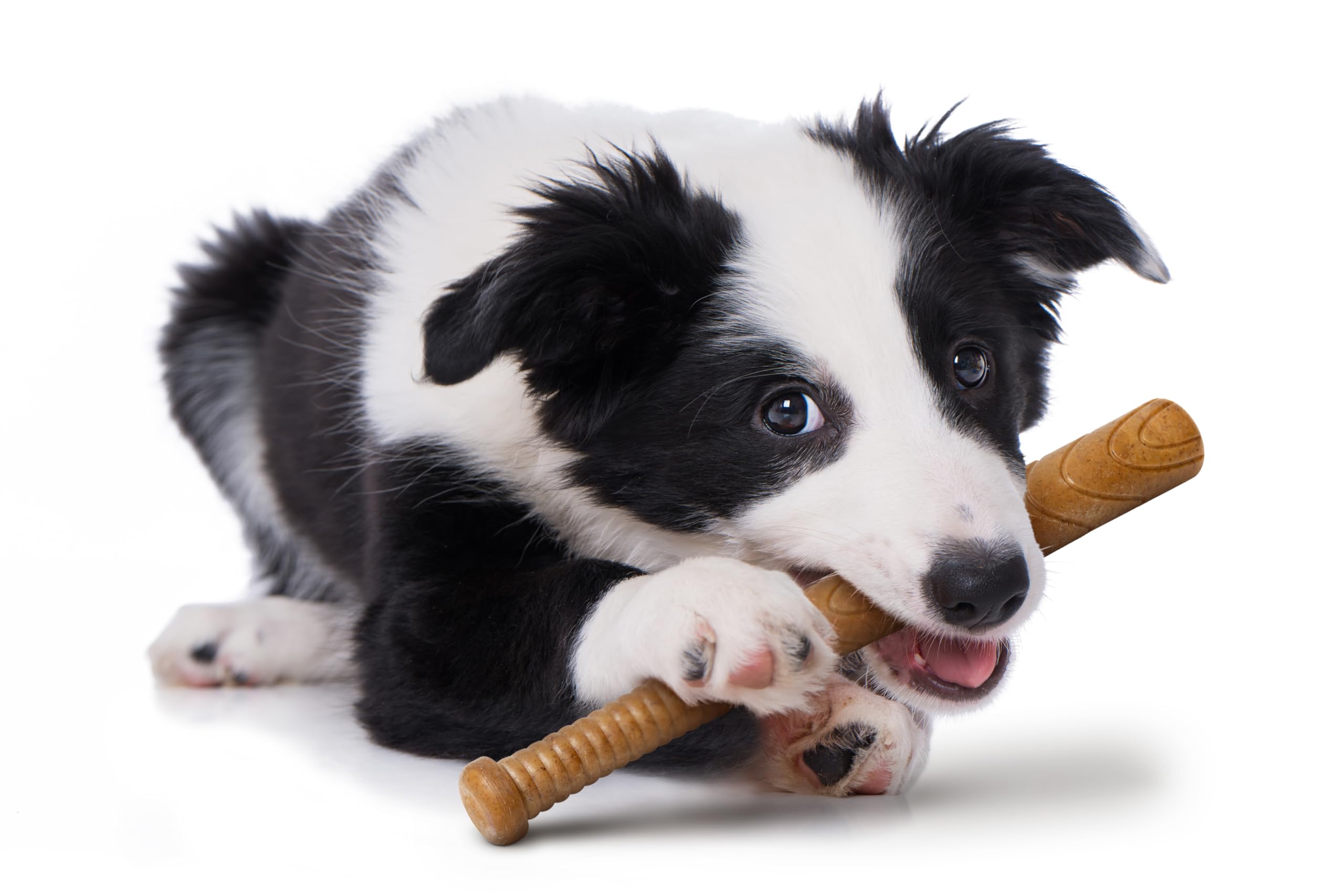 Powerbone Pet Chew Toy for Dogs - Durable, Non Toxic & Pet Safe - Best for Aggressive Chewers, Long Lasting Dental Health, Dog Teeth Cleaning, Dog Life Stages - Baseball Bat 12"