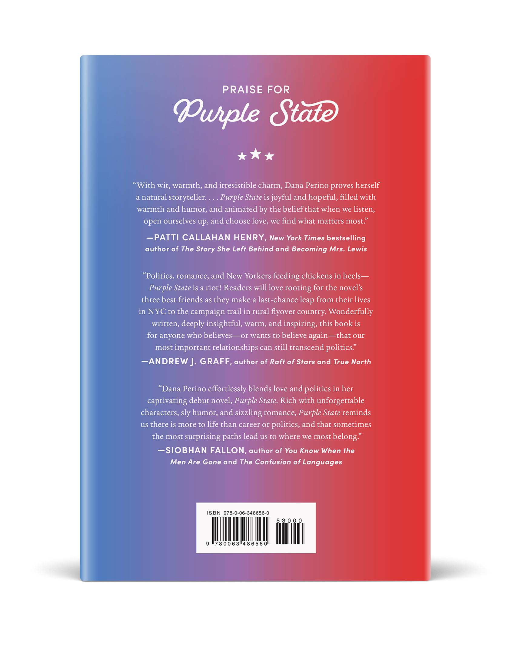 Purple State: A Small-Town Romcom Debut Novel from the Bestselling Author and Fox News Host