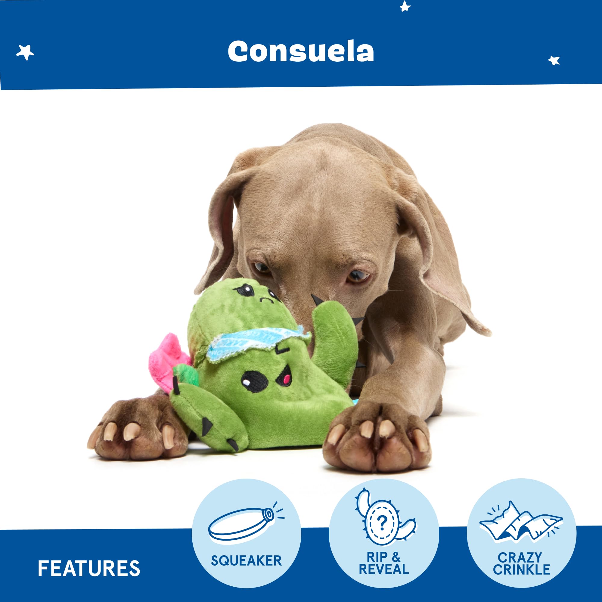 Barkbox Consuela the Cactus 2-in-1 Interactive Plush Dog Toy - Squeaky Dog Chew Toy with Crinkle Layers - for Large Dogs and Puppies