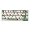 YUNZII B75 PRO Wireless Mechanical Keyboard,75% Layout with Knob,Hot Swap Gasket Structure,Creamy Pre-lubed Switches,RGB Backlit,Bluetooth/Type-C/2.4G for Win/Mac (Matcha Green, Cocoa Cream V2 Switch)