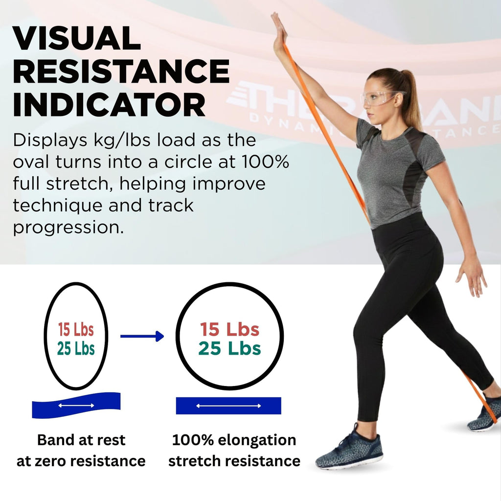 THERABAND High Resistance Bands, Set of 2 Elastic Super Bands for Improving Flexibility, Injury Rehab, & Full Body Workouts, Heavy Duty Stretch Bands for Lifting, 1 Light & 1 Medium Band