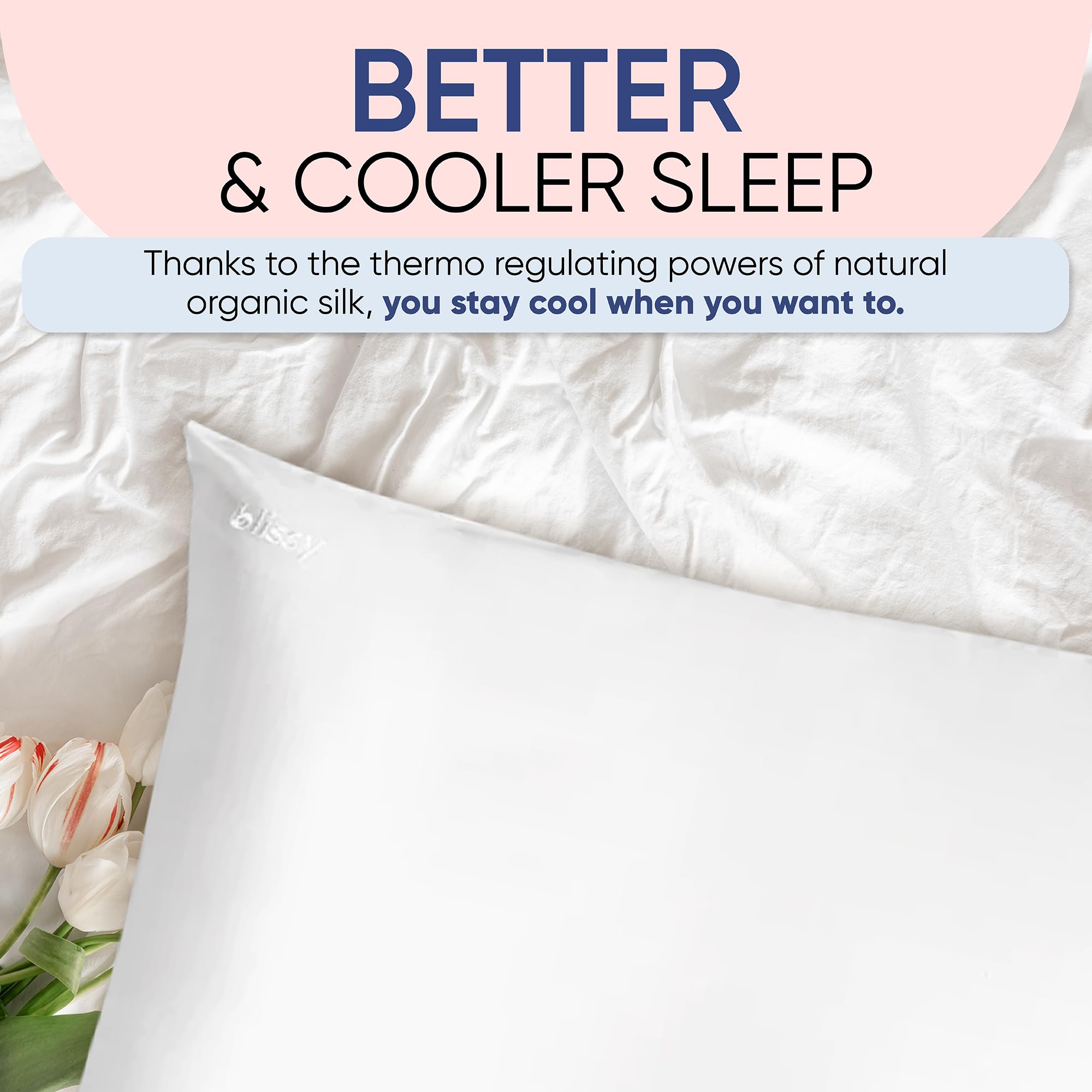 Blissy Silk Pillowcase - 100% Pure Mulberry Silk - 22 Momme 6A High-Grade Fibers - Silk Pillow Cover for Hair & Skin - Regular, Queen & King (Blissy White, Standard)