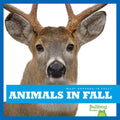 Animals in Fall (Bullfrog Books: What Happens in Fall?)