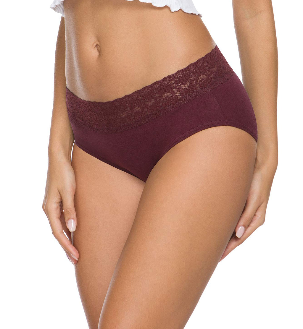 Wealurre Cotton Panties for Women Bikini Underwear Hipster Underpants Lace Briefs Pack(DarkSeries,L)