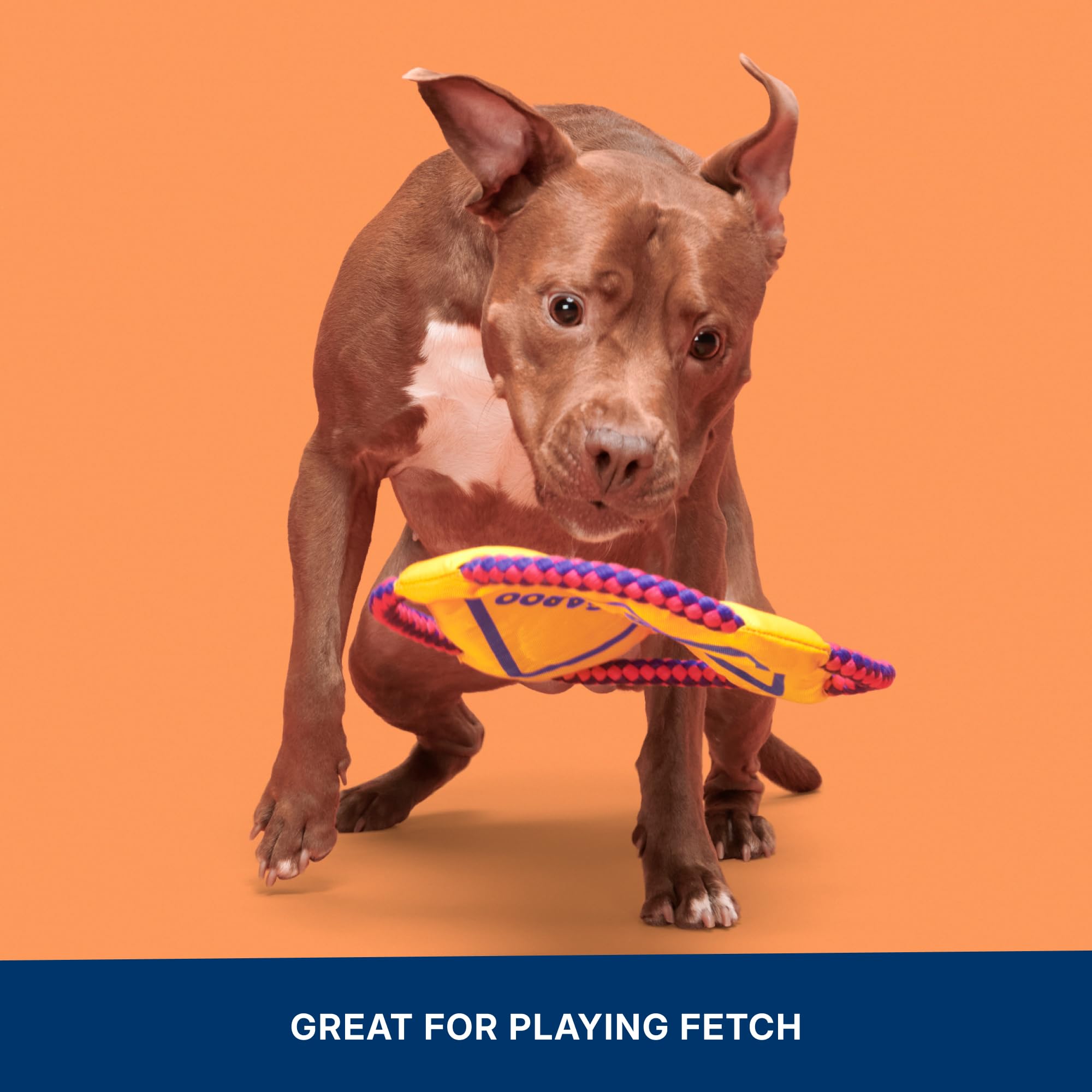 Barkbox Kangaroo Tossing Flying Disc Dog Toy | Fluff-Free Crinkle Disc with T-Shirt Rope Edge | Durable Fetch & Tug Toy for Dogs & Puppies