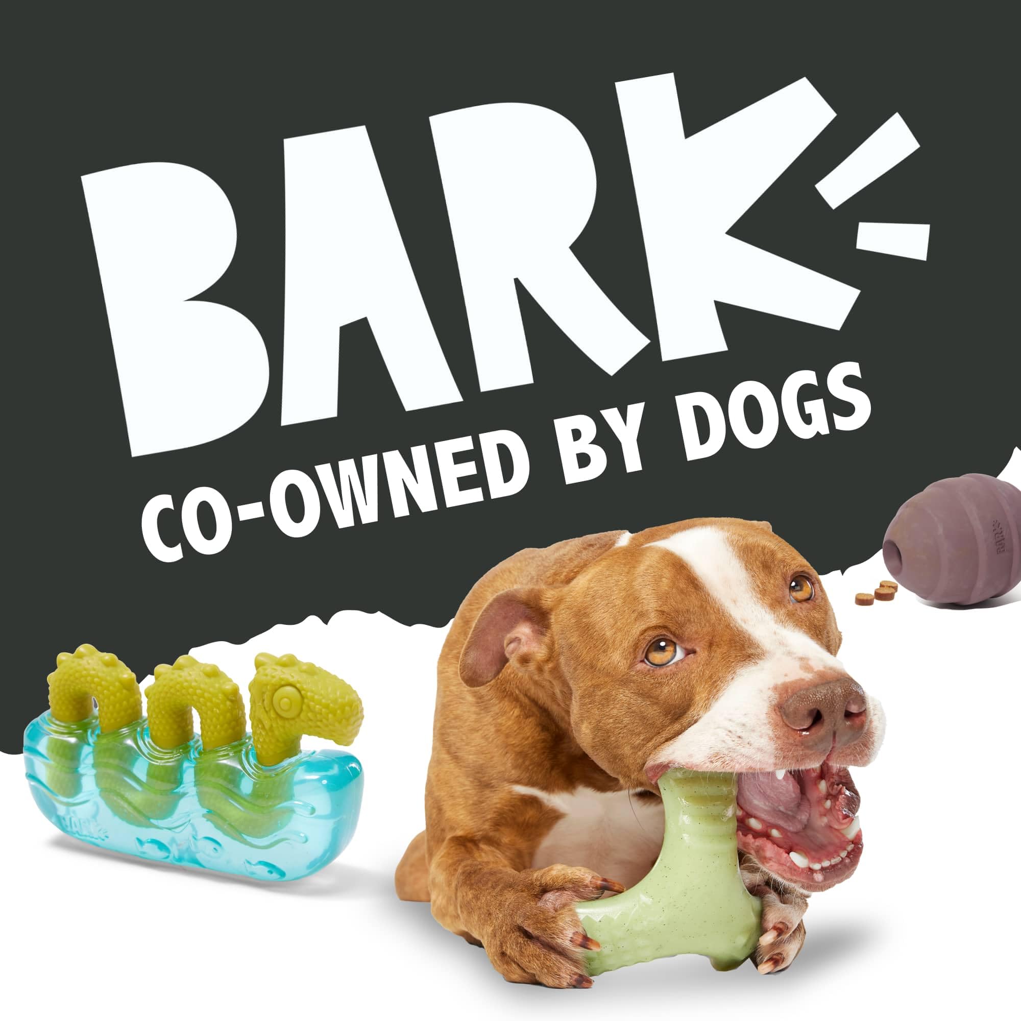 Barkbox Dogness Monster Super Chewer Dog Chew Toy - Tough Dental Stimulating Toy for Aggressive Chewers | Large