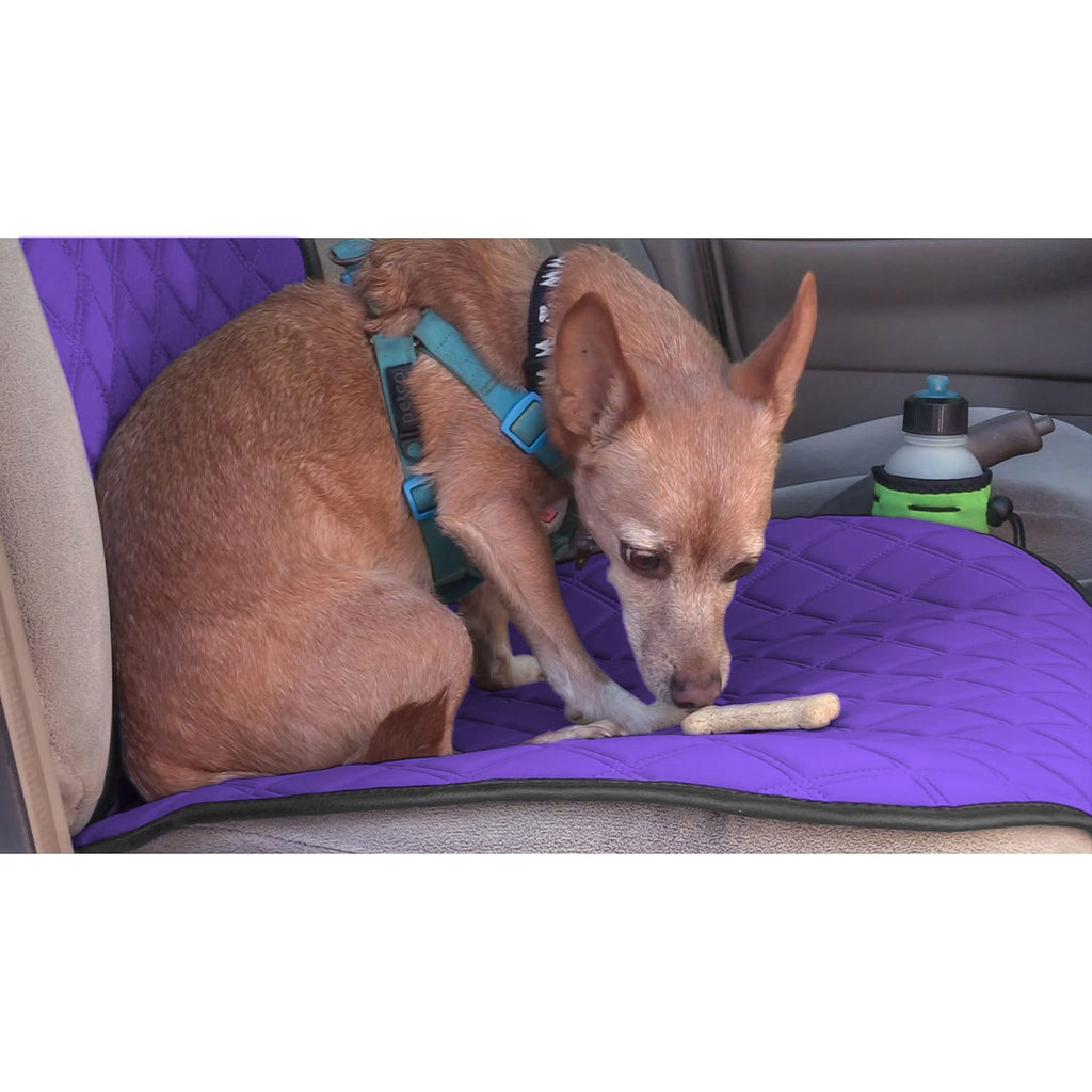 FH Group Car Seat Cushion – Neosupreme Single Front Seat Cover with Front Pockets, Airbag Compatible, Universal Fit Car Seat Cushion for Driver or Passenger Seat, SUV, Truck, Sedan & Van – Purple