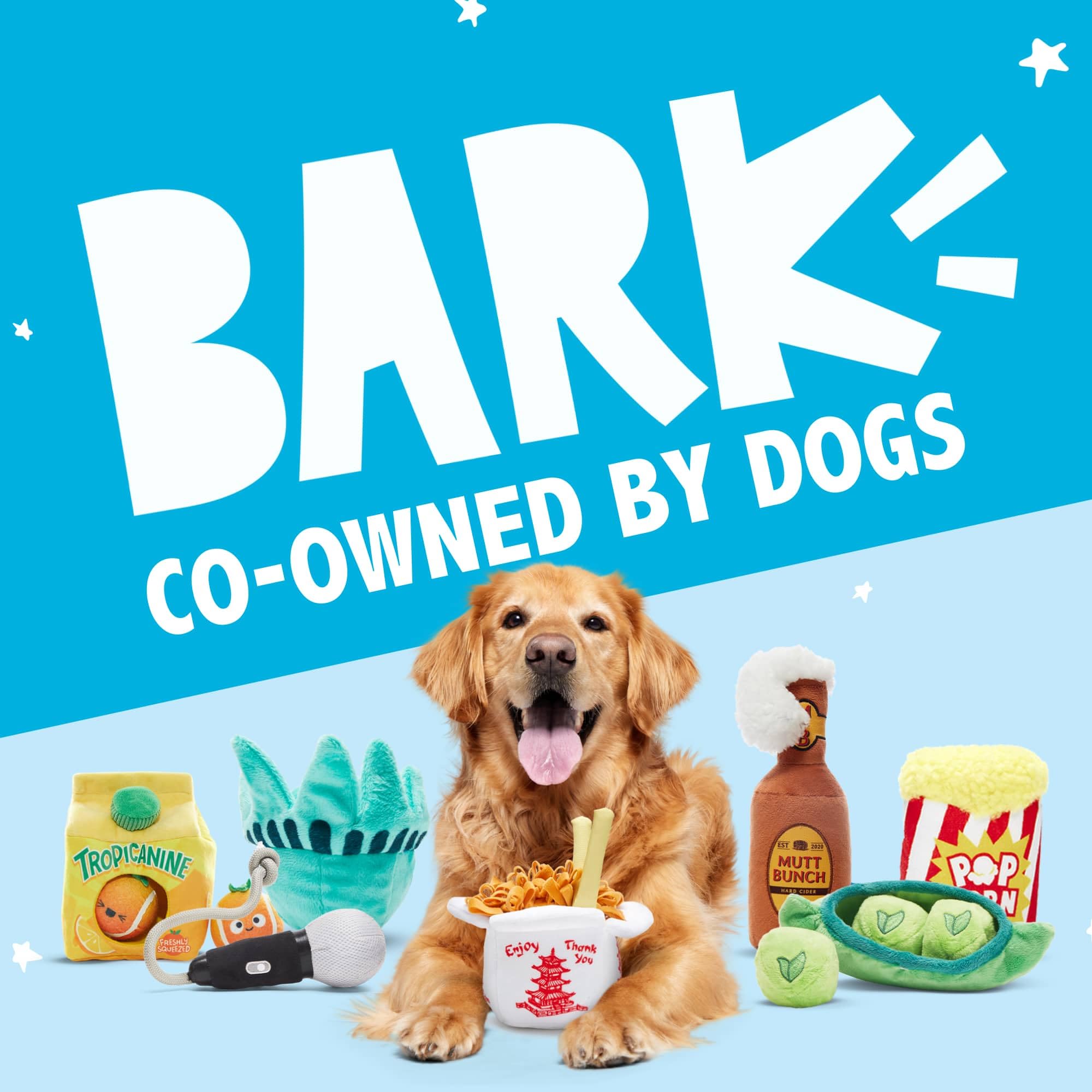 Barkbox Dog Toy 2 in 1 Interactive, Plush Exterior with Squeaker & Textured Material, Tearable Dog Toy with Squeaky Spikey Ball Inside, Ideal for Toy Destroyers - Monsieur Acorn, Large