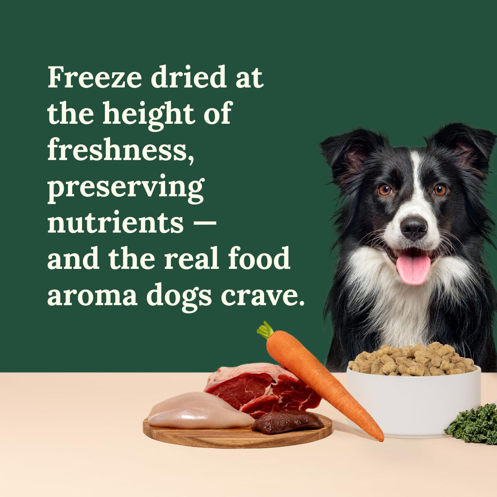 360 Pet Nutrition Freeze-Dried Raw Dog Food – Multi-Protein with Beef, Chicken, Fish, Liver & Organs, High Protein, Omega-3s, Fruits, Veggies & Superfoods, Grain-Free, No Fillers, 3 lb – Made in USA