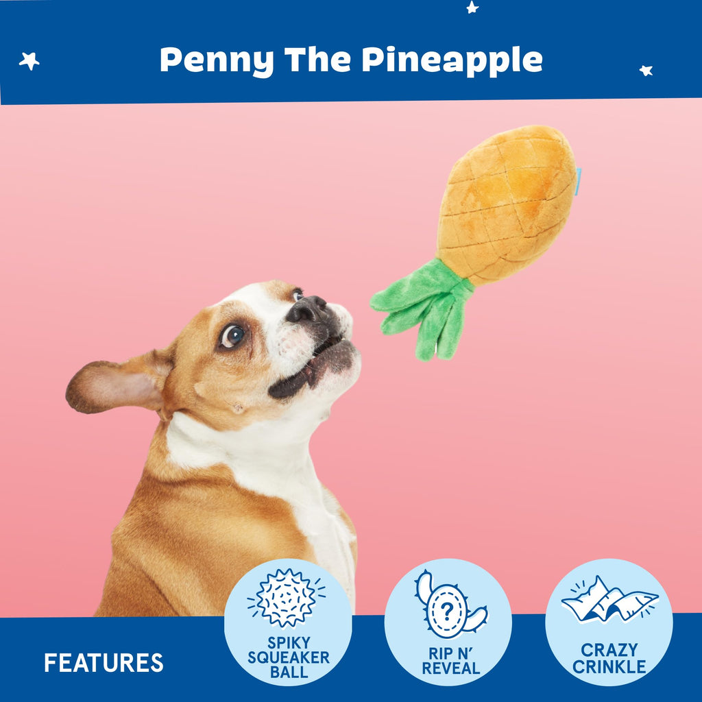 Barkbox Penny The Pineapple 2-in-1 Interactive Plush Dog Toy - Squeaky Dog Chew Toy with Crinkle Layers and Ball Inside - for Large Dogs and Puppies