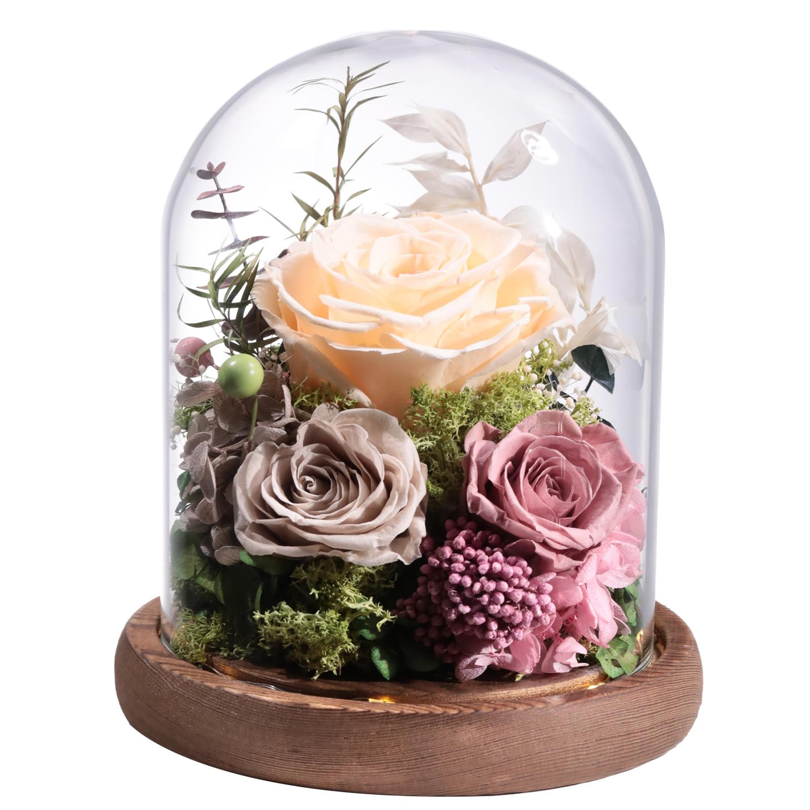 lovenfold Flowers for Delivery Preserved Rose Gifts for Her,Forever Roses Flowers in Glass Dome,Birthday Gifts for Women Mom Wife Friend(Champagne Rose)