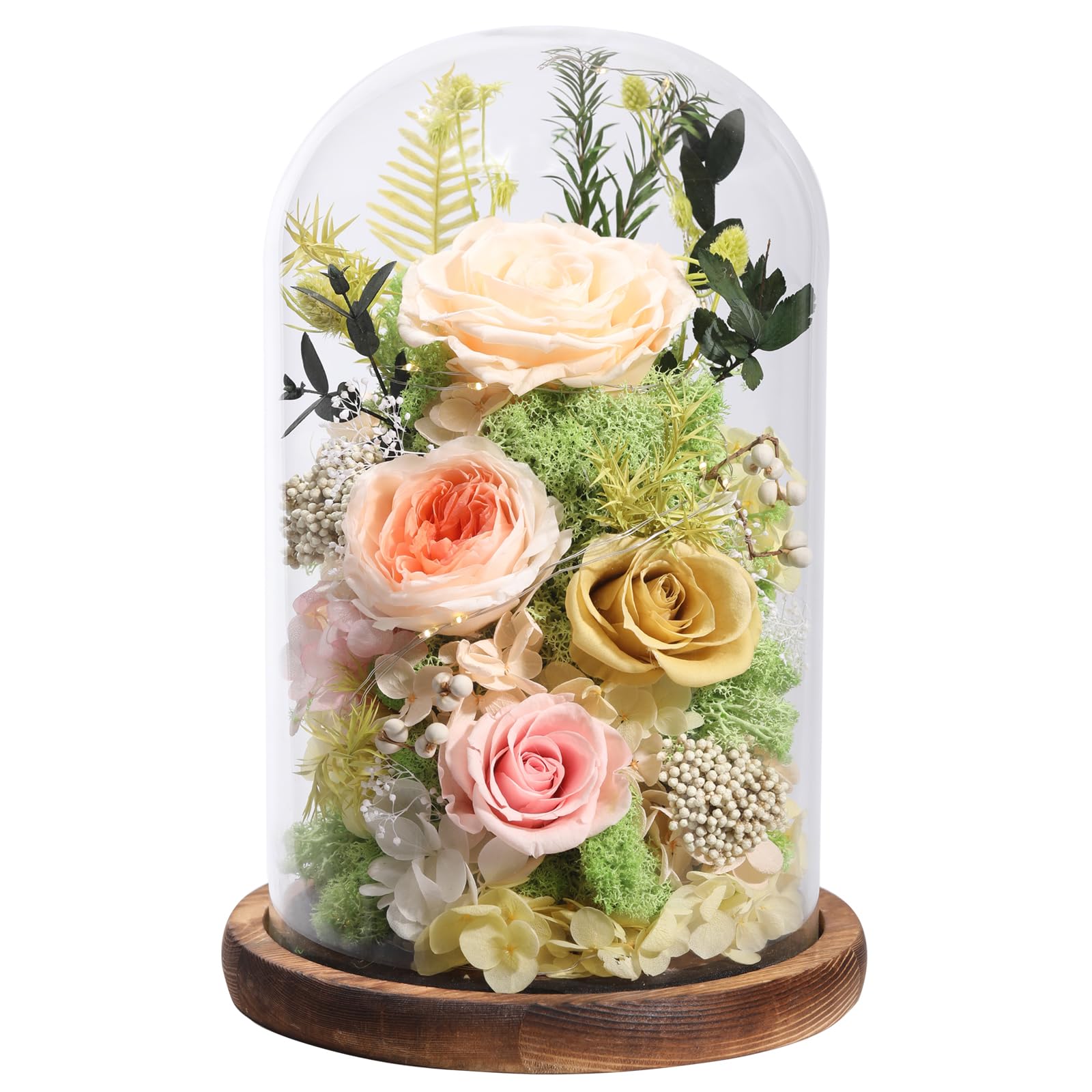 lovenfold Flowers for Delivery Preserved Flowers Rose in Glass Dome,Champagne Rose Forever Flowers Birthday Gifts for Women Mom Grandma Friend Gifts for Her,Home Decor