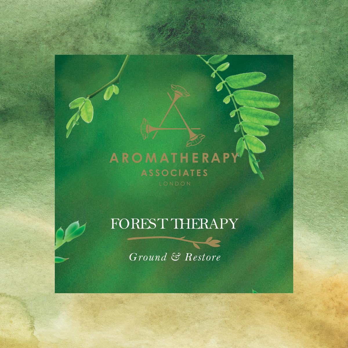 Aera Forest Therapy Essential Oil Aromatherapy Home Fragrance Scent Refill - Notes of Pink Pepper, Cypress and Ho Woods - Works with The Aera Diffuser