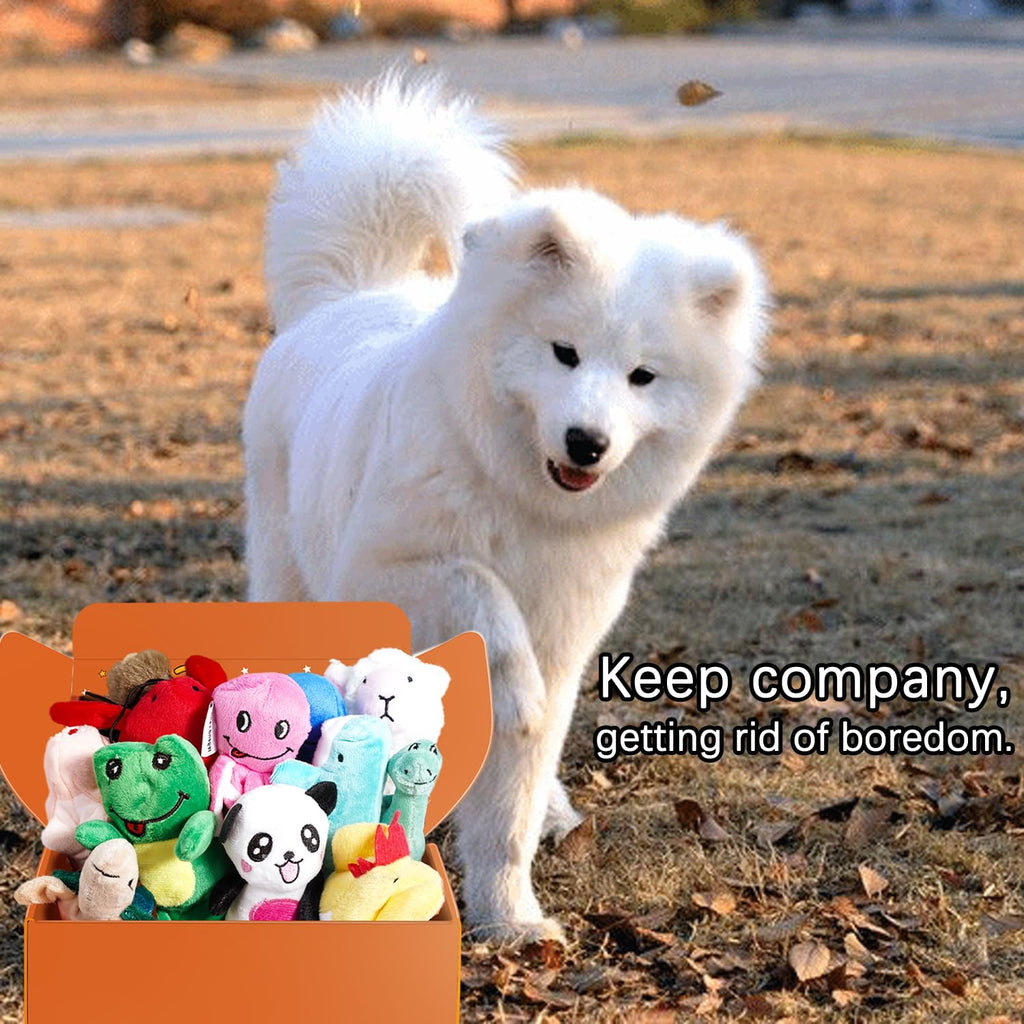 LEGEND SANDY Squeaky Plush Dog Toy Pack for Puppy, Small Stuffed Puppy Chew Toys 12 Dog Toys Bulk with Squeakers, Cute Soft Pet Toy for Small Medium Size Dogs