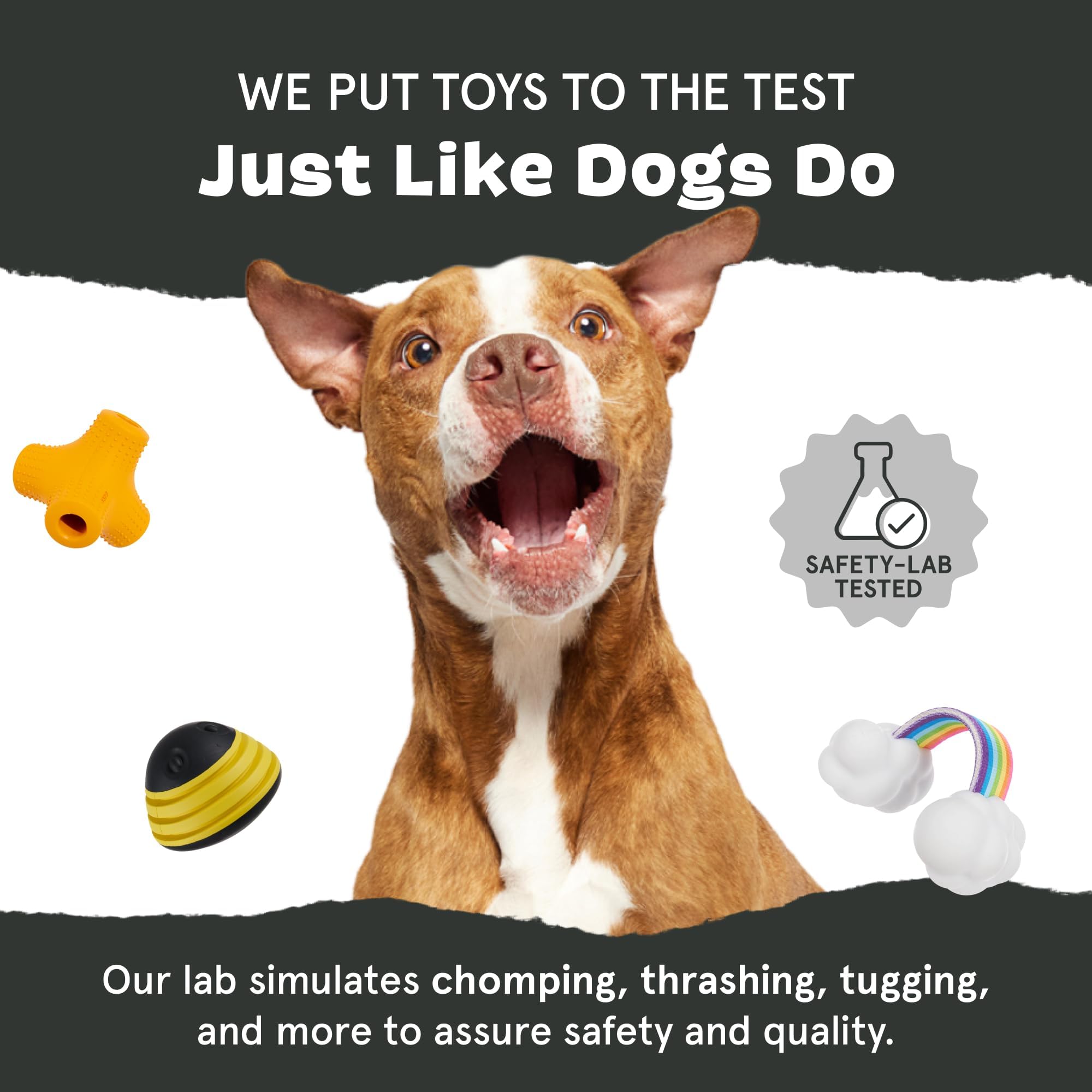 Barkbox Super Chewer Tough Dog Chew Toys for Aggressive Chewers, Plush 2 Toys in 1 (Hare Raiser - Large)