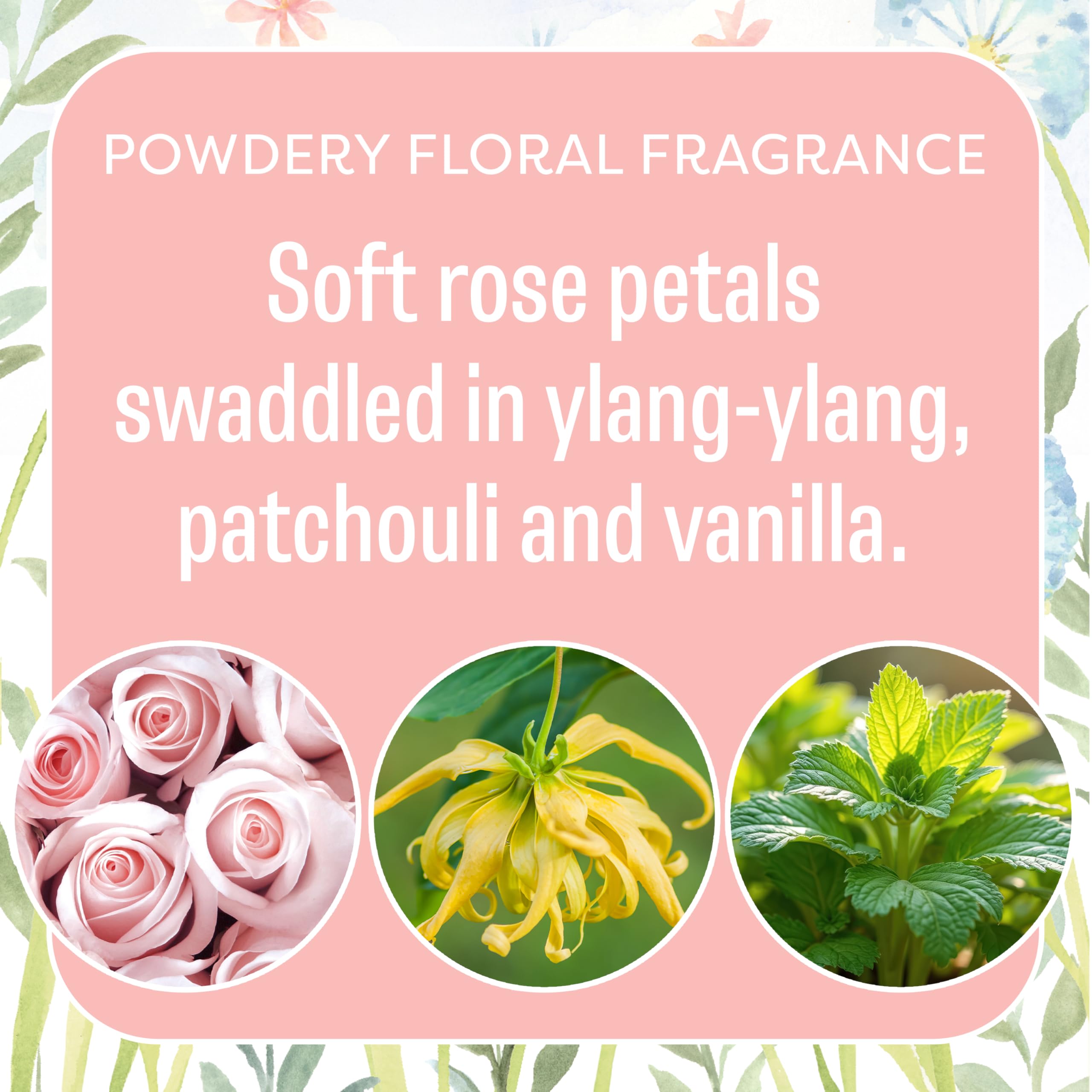 Fresh Scents Scented Sachets | Baby Powder | Home Fragrance | Long Lasting (Up to 6 Months) | Air Freshener for Closets, Drawers, & Cars | 6 Pack