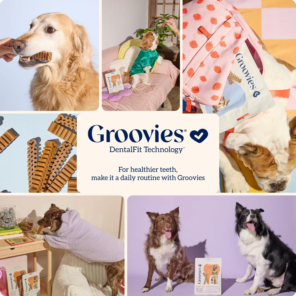 Groovies Gentle & Flexible Senior Dog Dental Chews, Contact-Cleaning Design Supporting Tartar Control & Fresh Breath, Oral Care Treats, USA Manufactured, Patented DentalFit Tech, XLarge Dogs, 4 Chews