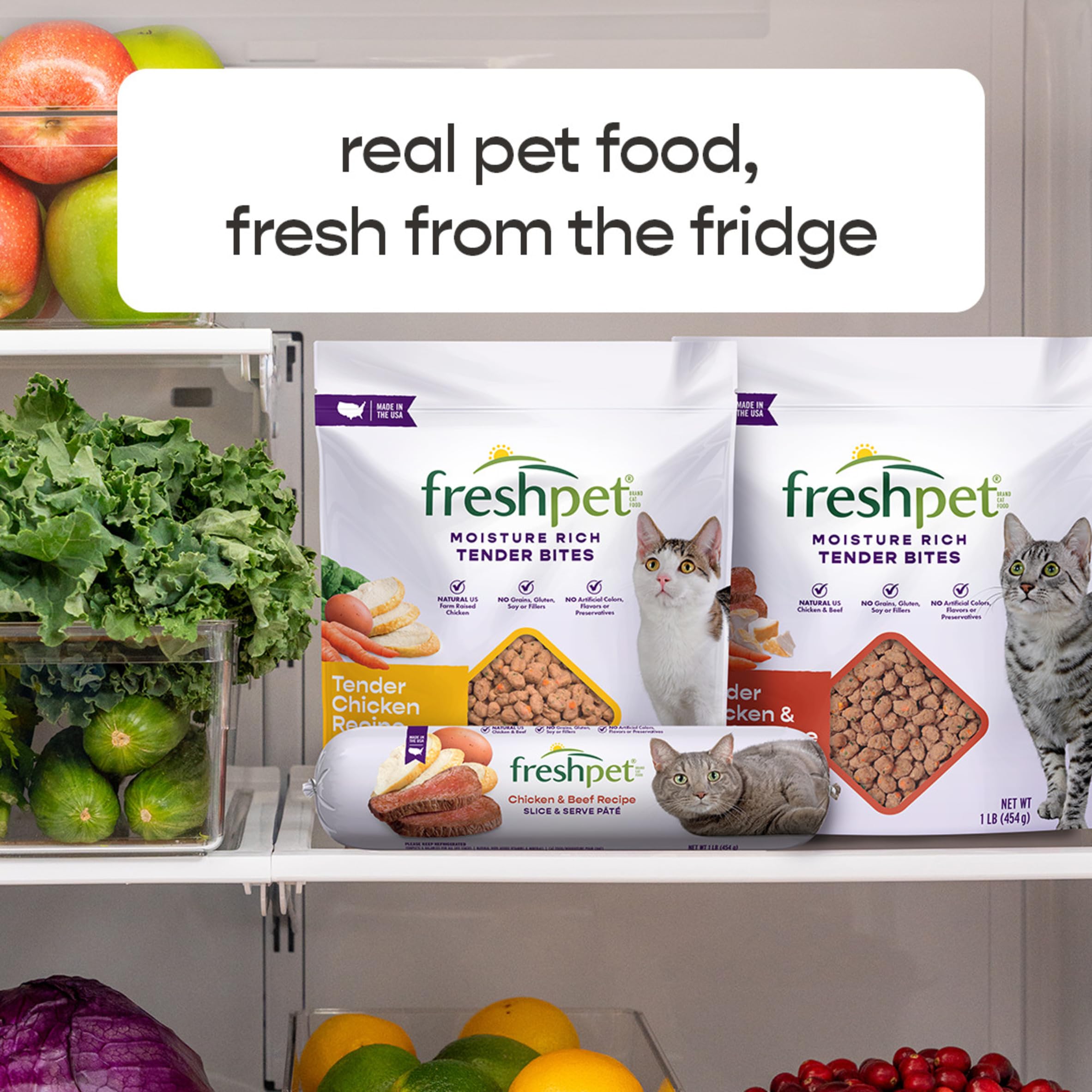 Select Freshpet Chicken & Cat Food, 1 Pound Beef, 16 Ounce