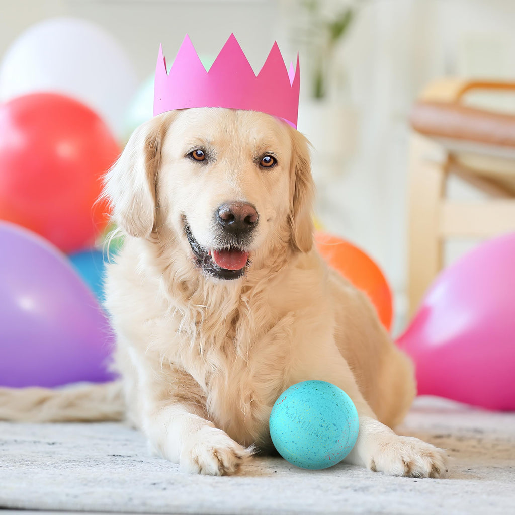 Playology Dog Toys | Birthday Box for Large Dogs | Peanut Butter Birthday Cake Scented Jumbo Gift Bundle | 1 Squeaky Chew Ball, 1 Dual Layer Bone, & 1 Doggy Bday Card