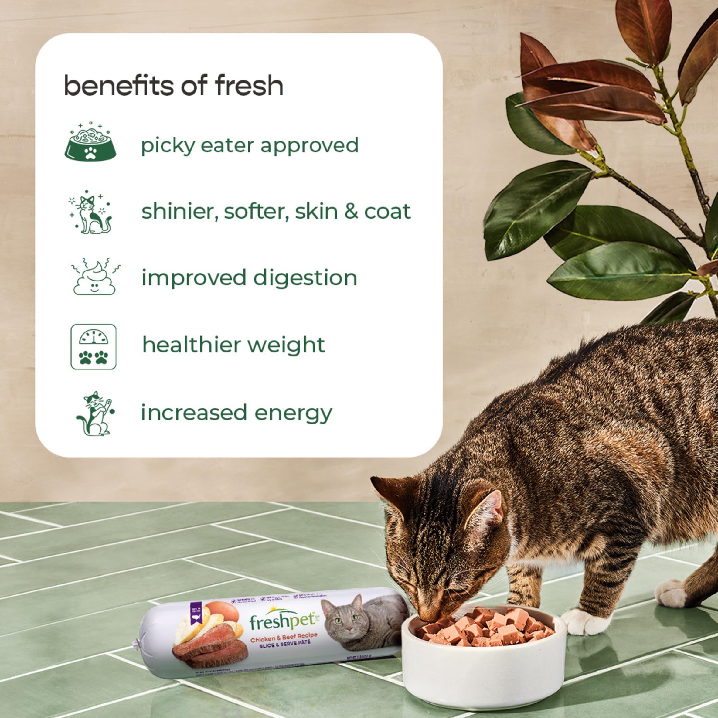 Select Freshpet Chicken & Cat Food, 1 Pound Beef, 16 Ounce
